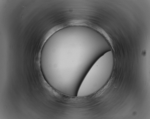 X0000101481386200807071232