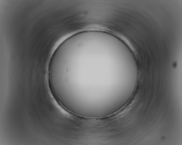 X0000101481387200807071232