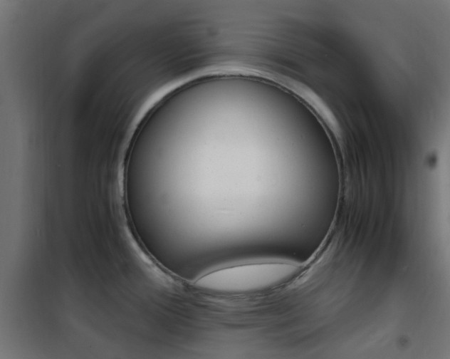 X0000101481388200807071232