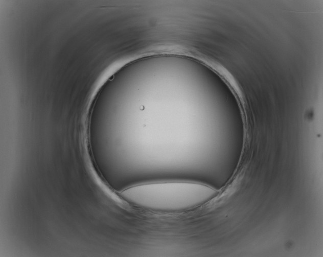 X0000101481389200807071232