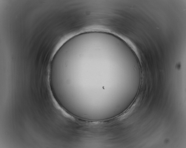 X0000101481390200807071232