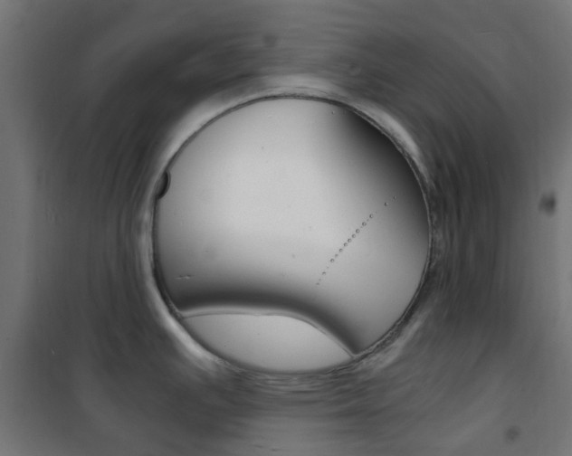 X0000101481391200807071232