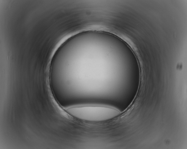 X0000101481392200807071232