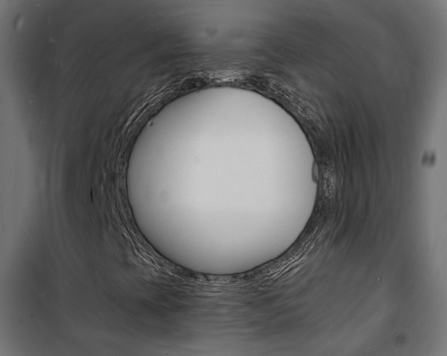 X0000101481393200807071232
