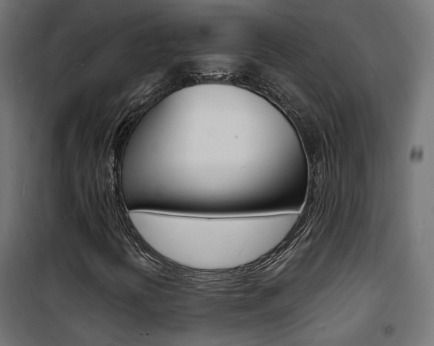 X0000101481394200807071232