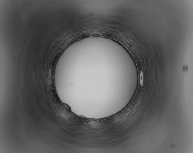 X0000101481395200807071232