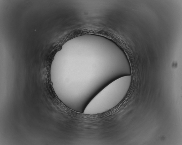 X0000101481397200807071232
