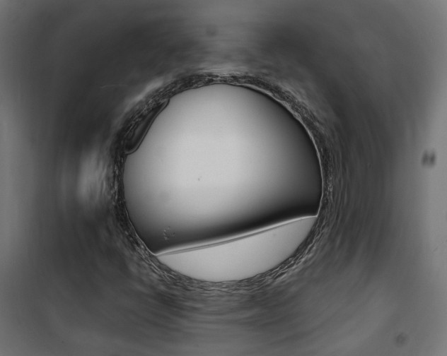 X0000101481398200807071232
