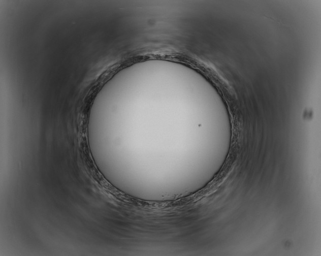 X0000101481399200807071232