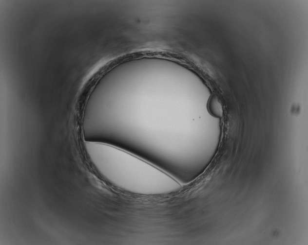 X0000101481400200807071232