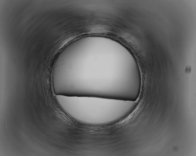 X0000101481401200807071232