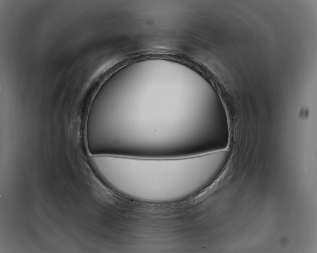 X0000101481402200807071232