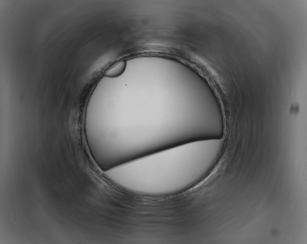 X0000101481403200807071232