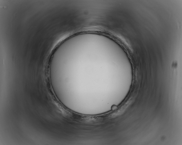 X0000101481405200807071232