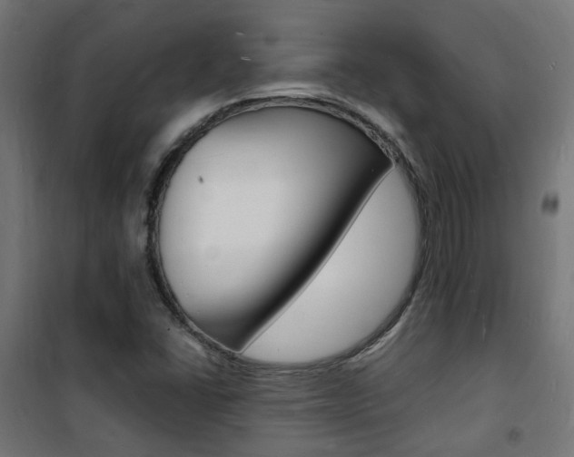 X0000101481406200807071232