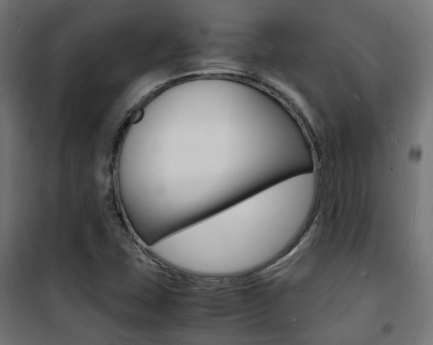 X0000101481407200807071232