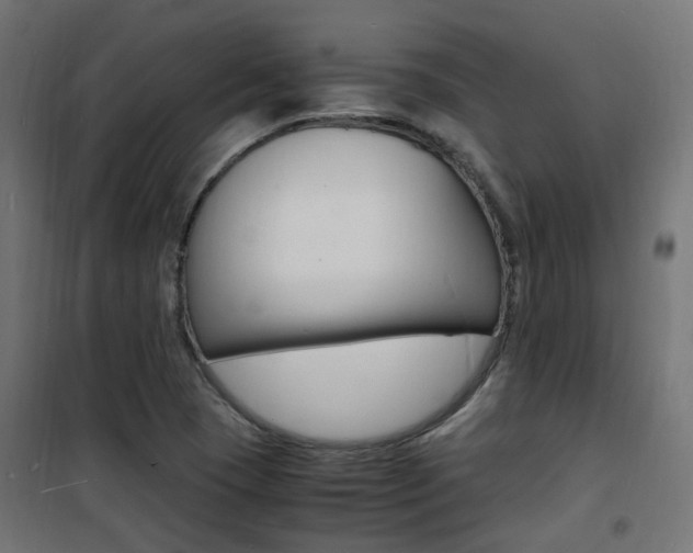 X0000101481409200807071232
