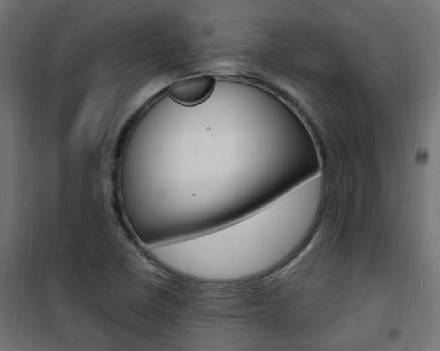 X0000101481410200807071232
