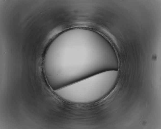 X0000101481411200807071232