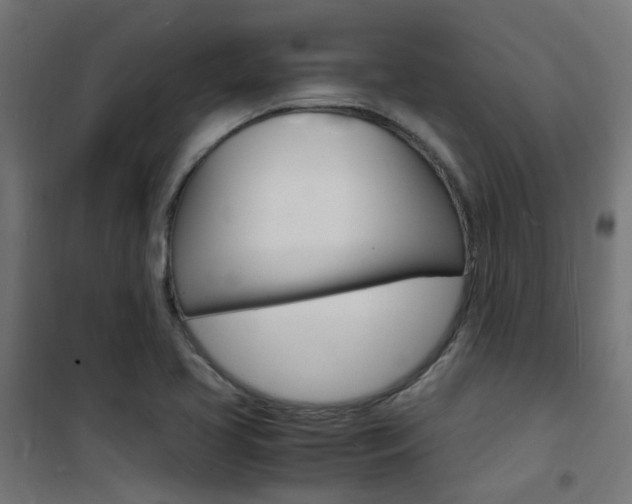 X0000101481413200807071232