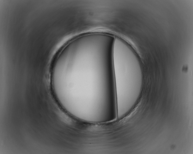 X0000101481414200807071232