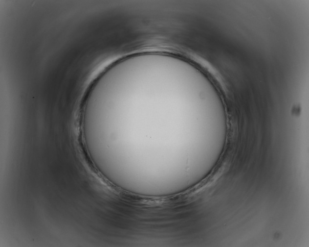 X0000101481415200807071232