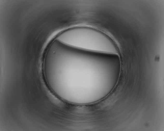 X0000101481416200807071232