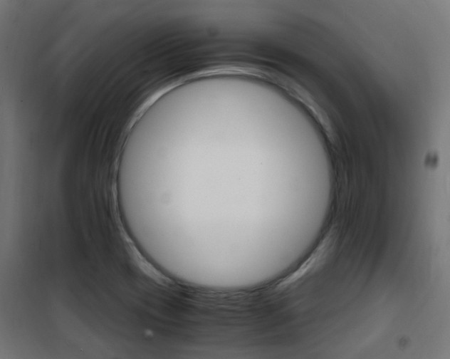 X0000101481417200807071232