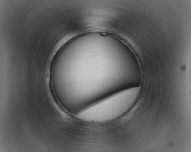 X0000101481418200807071232