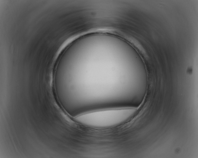 X0000101481420200807071232