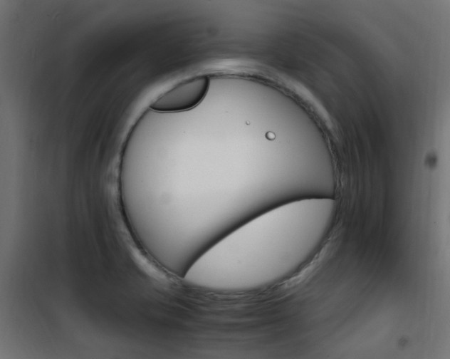 X0000101481421200807071232