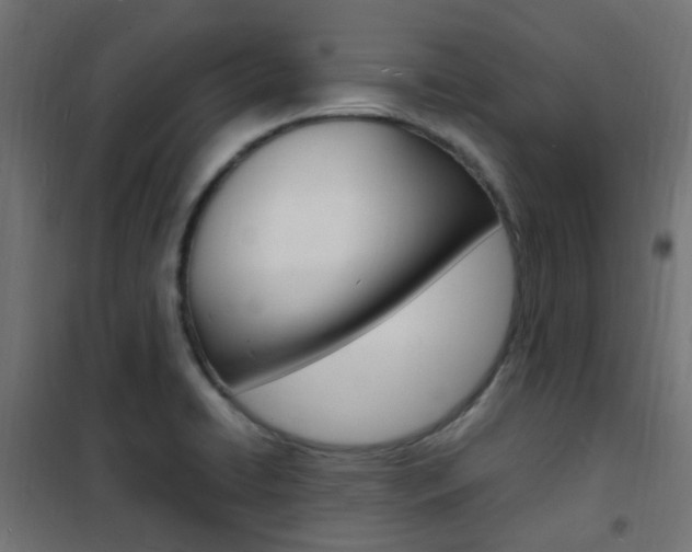 X0000101481422200807071232