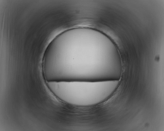 X0000101481423200807071232