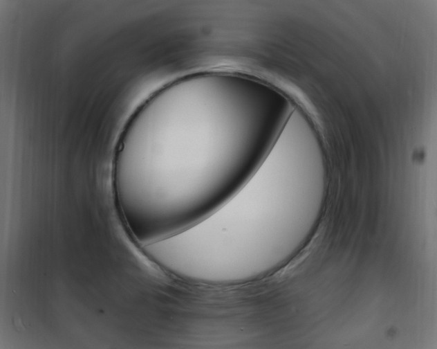 X0000101481424200807071232