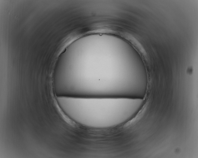 X0000101481425200807071232