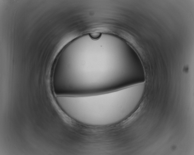 X0000101481426200807071232