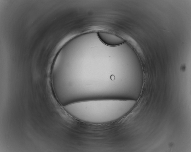 X0000101481427200807071232