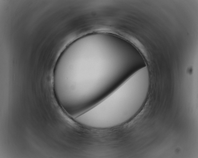 X0000101481428200807071232