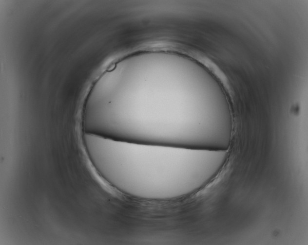 X0000101481429200807071232