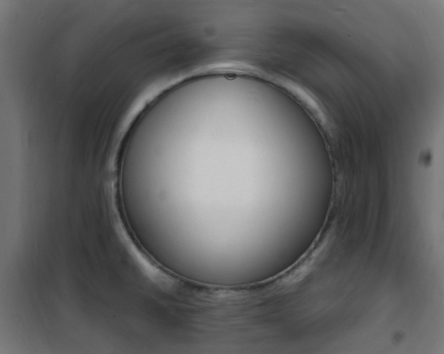 X0000101481430200807071232