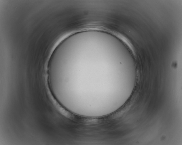 X0000101481431200807071232