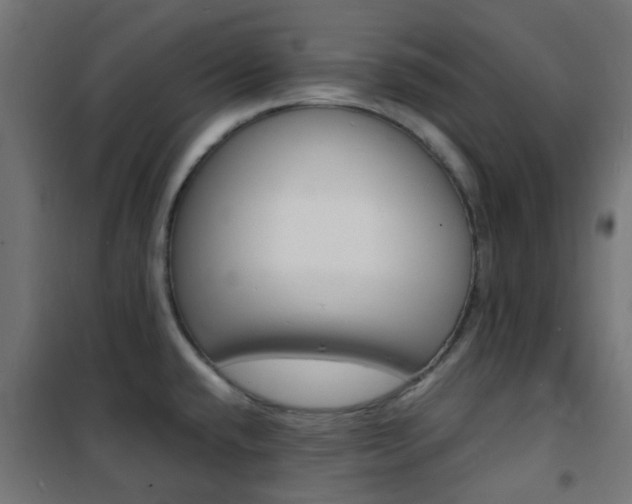 X0000101481432200807071232