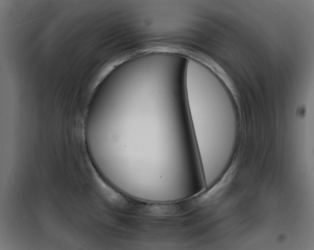 X0000101481433200807071232