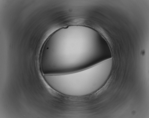 X0000101481434200807071232