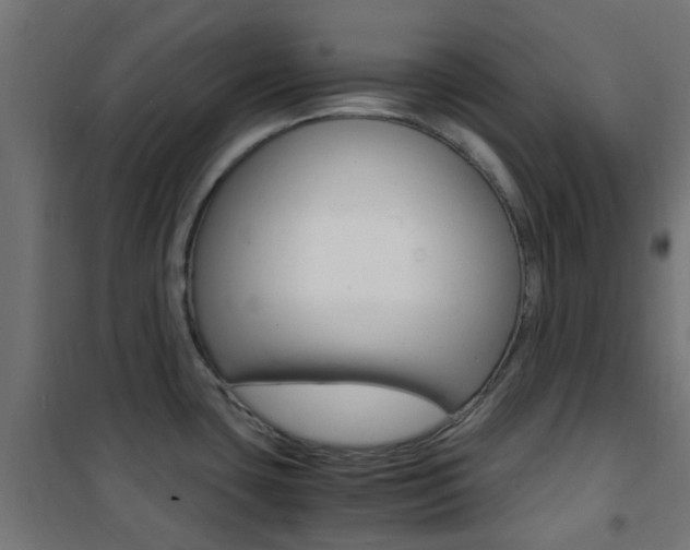 X0000101481435200807071232