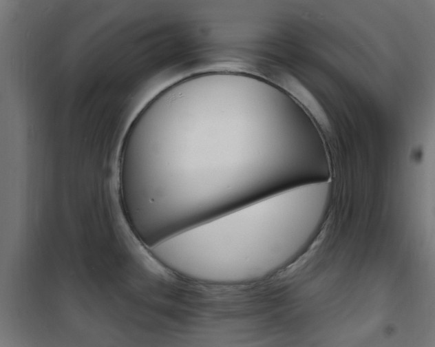 X0000101481436200807071232