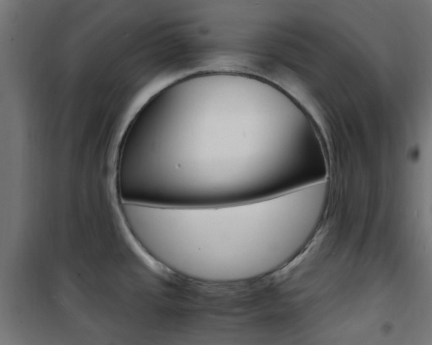 X0000101481437200807071232