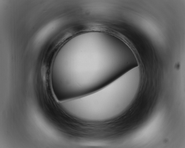 X0000101481438200807071232