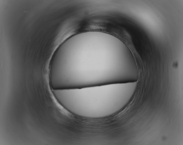 X0000101481439200807071232