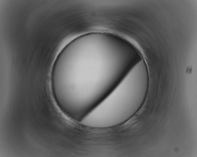 X0000101481440200807071232